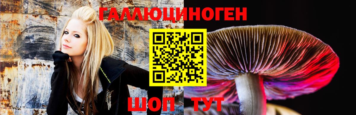 Карабулак  Псилоцибиновые грибы Magic Shrooms  Вход с VPN 
