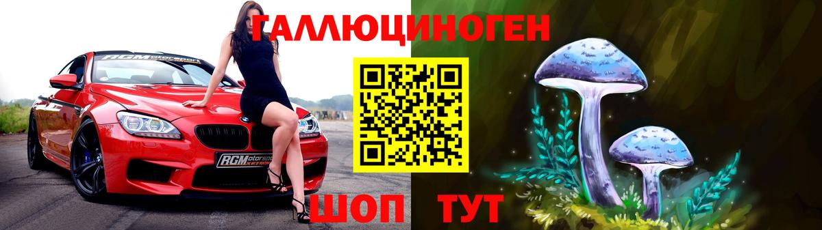 Псилоцибиновые грибы Cubensis Карабулак